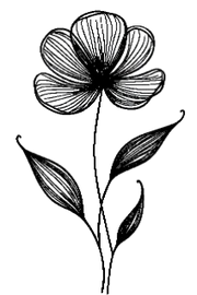 By Tess Collection logo